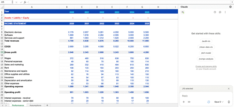 Income Statement עם תחזית עד 2030